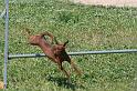 RoryAgility (8)